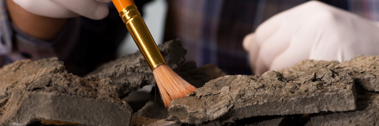 A person wearing white gloves uses an orange brush to carefully remove dust and dirt from an archaeological artifact. In this insider's guide to artifact preservation, the focus is on the delicate process with the person's hands in the background, highlighting expert techniques.